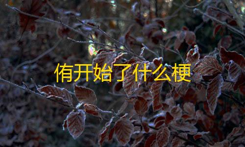 绝地求生透视科技插件网侑开始了什么梗